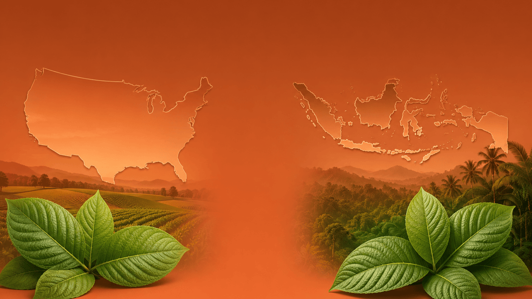 American-Grown vs Indonesian Kratom: Source Region Comparison - 7OH.com