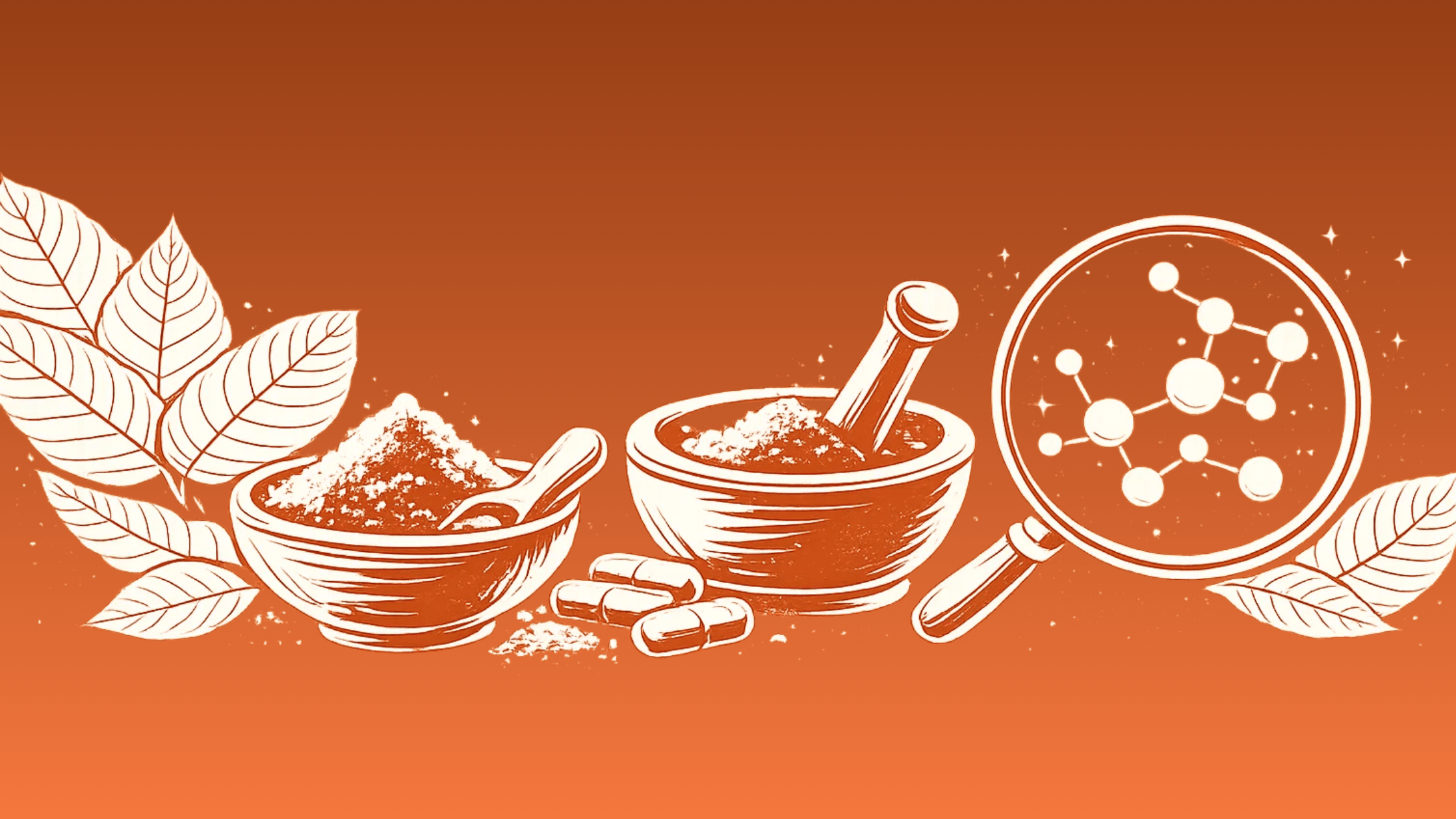 Does All Kratom Have 7-Hydroxymitragynine? - 7OH.com