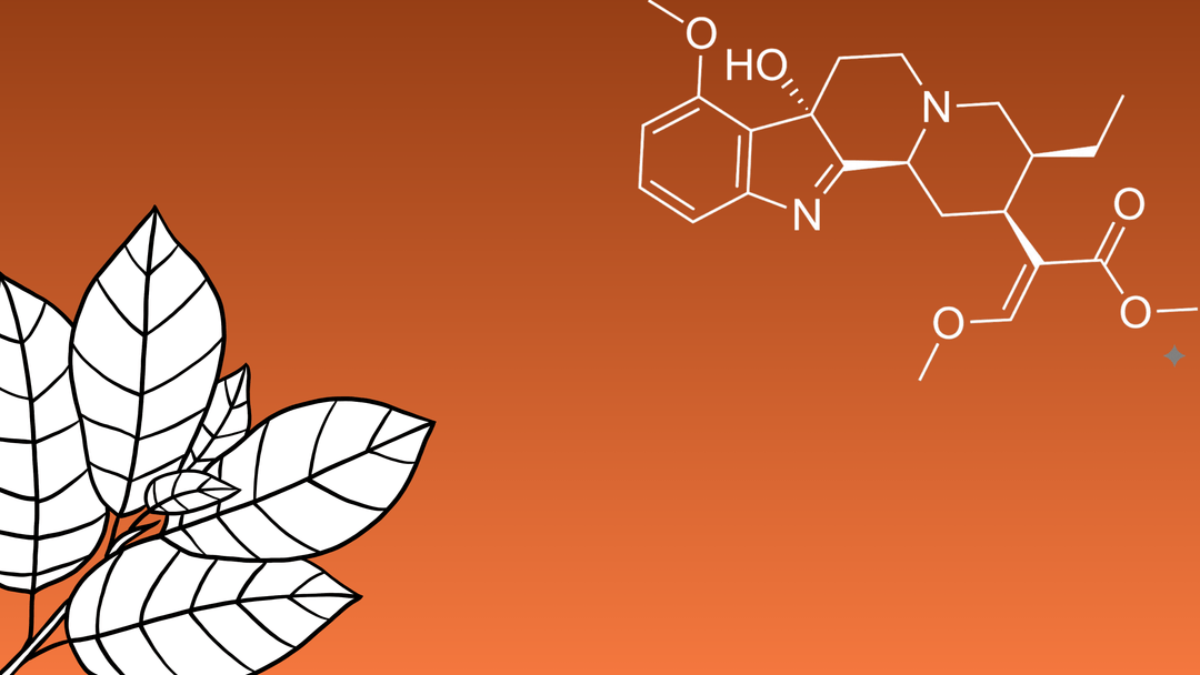 What is 7-OH? A Guide to 7-Hydroxymitragynine - 7OH.com