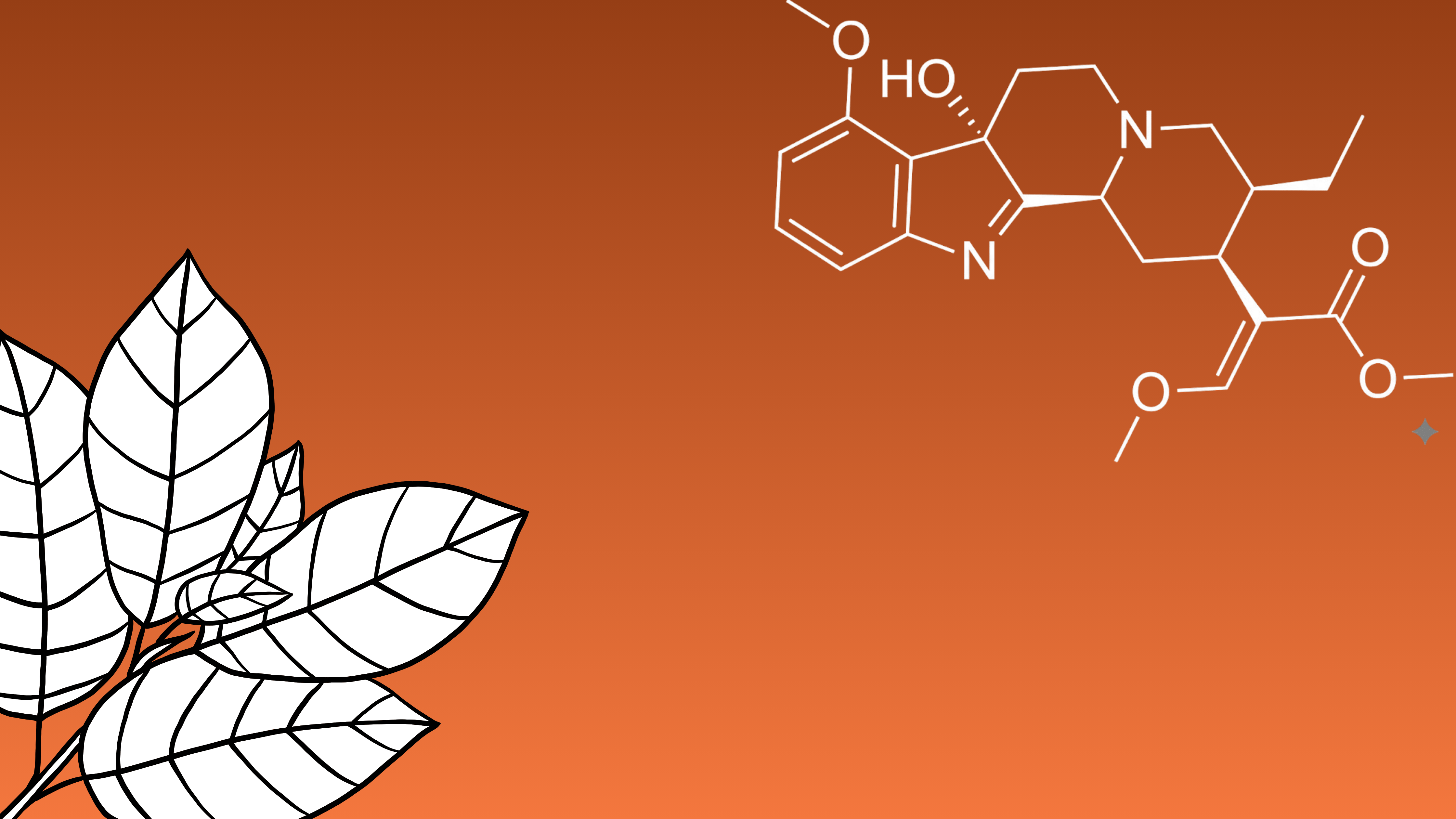 What is 7-OH? A Guide to 7-Hydroxymitragynine - 7OH.com