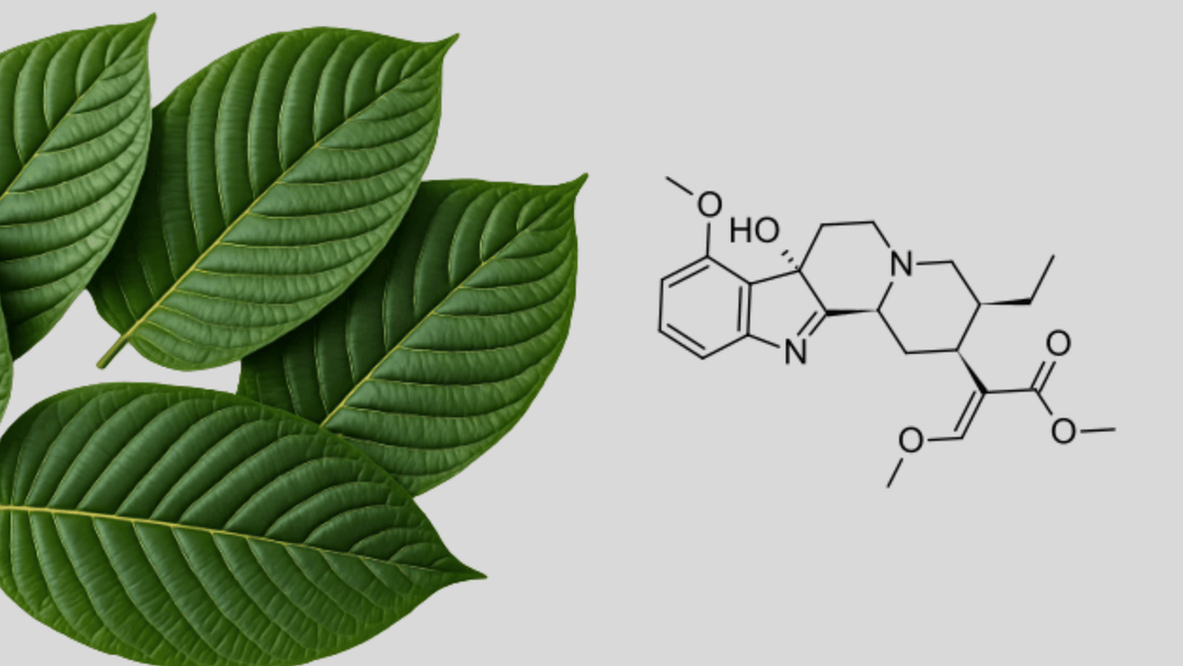 What is 7-OH? A Guide to 7-Hydroxymitragynine - 7OH.com